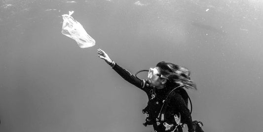 Ways Scuba Divers Can Help Our Oceans.