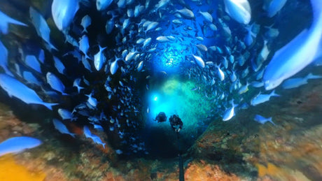 Global Dive – New Zealand’s Friendliest Dive Centre