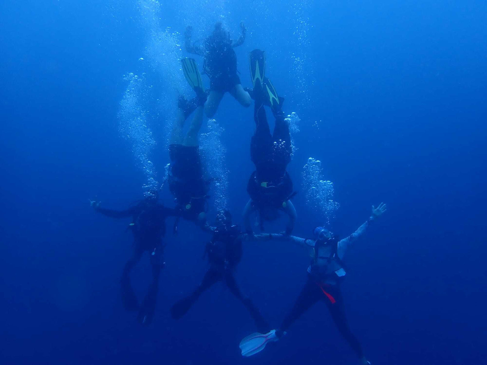 Harris’s TRACC Adventure in Borneo