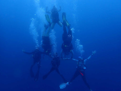 Harris’s TRACC Adventure in Borneo