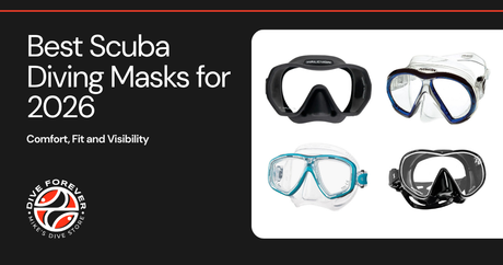 Best Scuba Diving Masks for 2026 - Comfort, Fit and Visibility