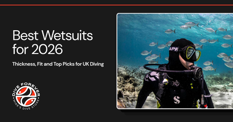 Best Wetsuits for 2026 - Thickness, Fit and Top Picks for UK Diving
