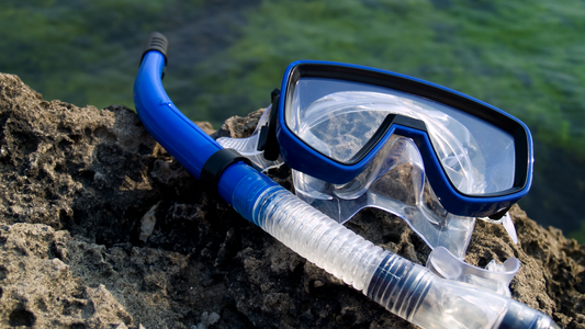 Essential Snorkelling Equipment for Cold Waters
