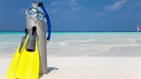 Top 11 Travel-Friendly Scuba Diving Equipment Packages