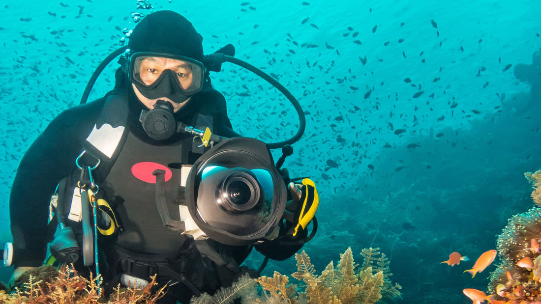 Guide to Underwater Photography and Editing Software