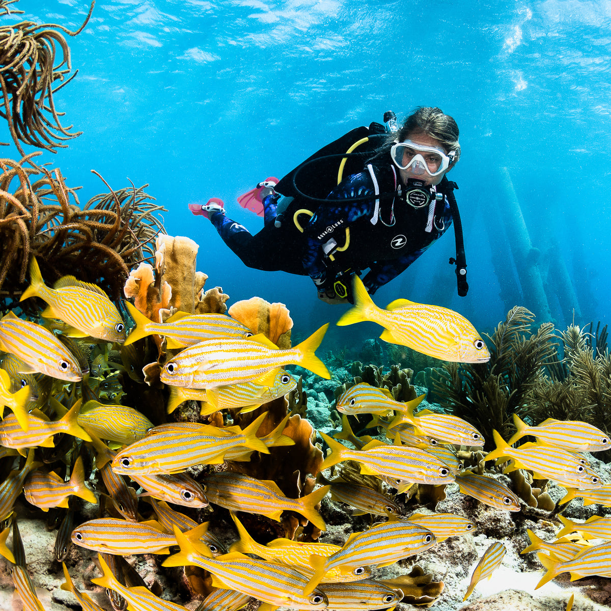 The Maldives – where, when, how and what kit do I need? – Mikes Dive Store