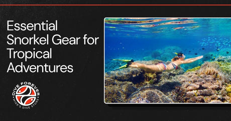 Essential Snorkel Gear for Tropical Adventures