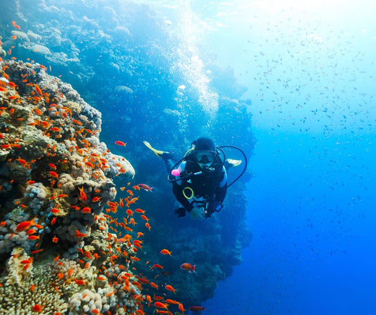 Is It Ever Too Late to Start Scuba Diving?