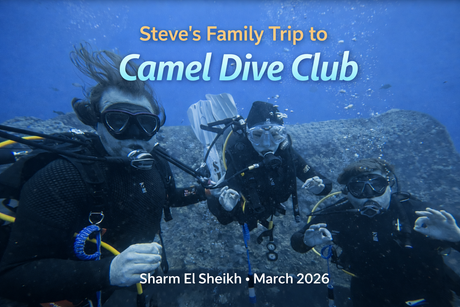 Steve's Family Trip to Camel Dive Club Sharm El Sheikh March 2026