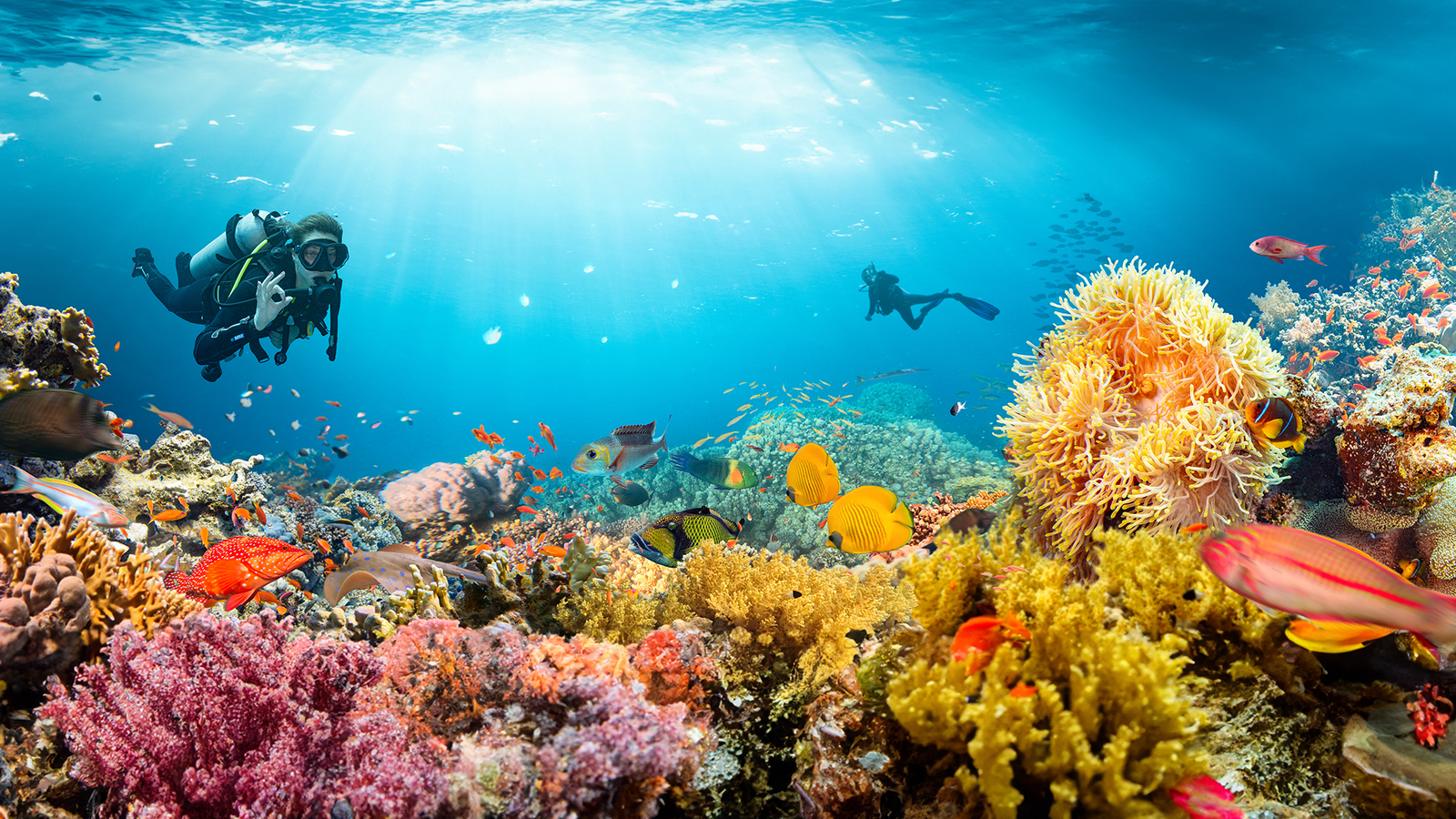 Gear Mistakes New Divers Make – and How to Avoid Them