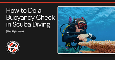How to Do a Buoyancy Check in Scuba Diving (The Right Way) 🤿