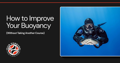 How to Improve Your Buoyancy (Without Taking Another Course)