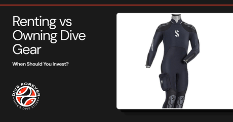 Renting vs Owning Dive Gear: When Should You Invest?