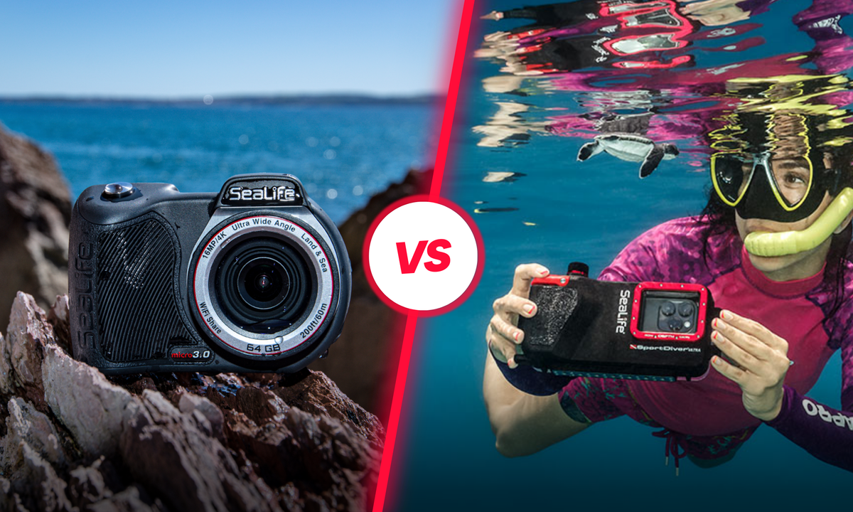 Sealife Micro 3.0 underwater camera vs Sealife SportDiver camera housi