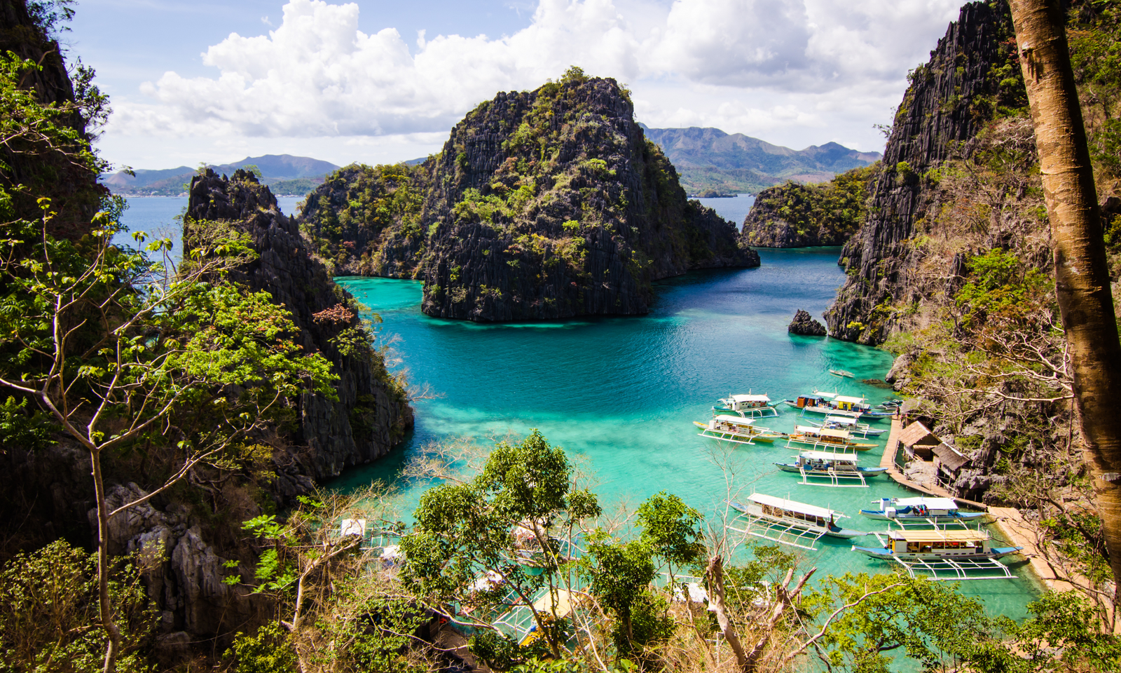 Budget Dive Travel Tips: How to Save Money on Scuba Diving Trips