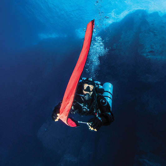 The Ultimate Guide to SMB & DSMBS for Scuba Divers