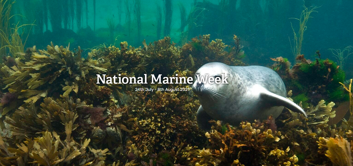 Marine Range Week National Marine Week 2021 – Mikes Dive Store