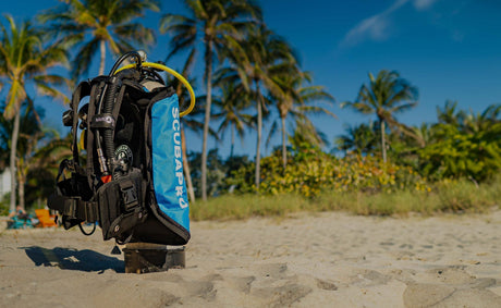 BCD Variations Explained: Best Type of BCD for You