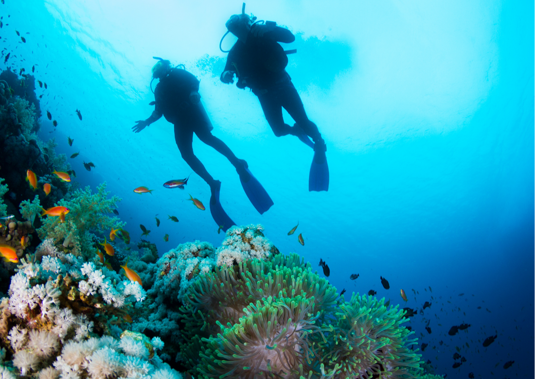 Improve Your Buddy Skills: How To Become a Better Dive Buddy