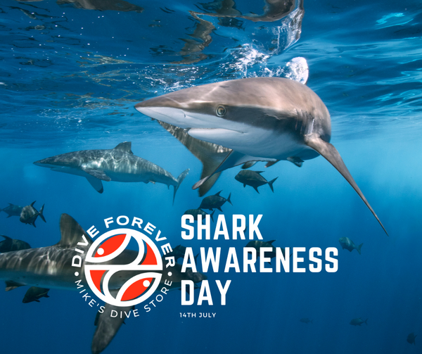 Shark Awareness Day: Why it Matters and What You can Do to Help – Mikes ...