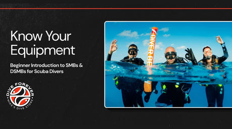 Divers on the surface with deployed SMB