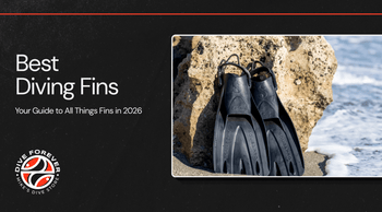 Best Diving Fins 2026