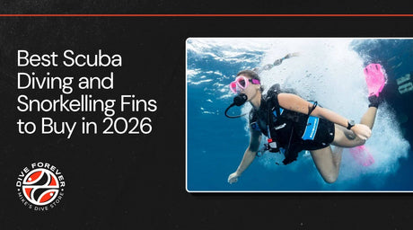 Best Scuba Diving and Snorkelling Fins to Buy in 2026