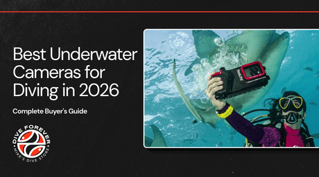Best Underwater Cameras for Diving in 2026: Complete Buyer's Guide