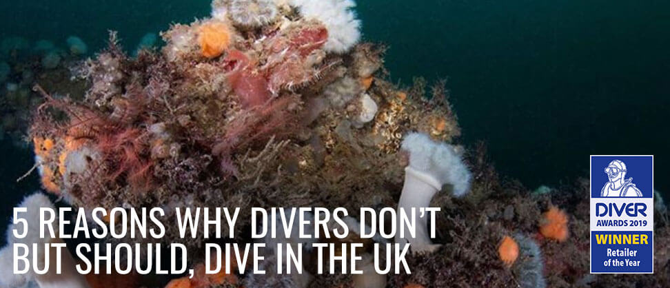 5 Reasons Divers Don’t, But Should, Dive In The UK
