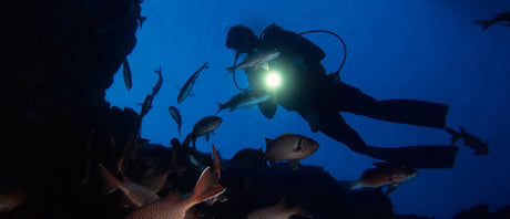 Night Dive Etiquette