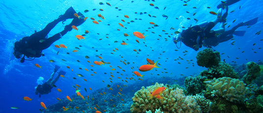 Top 5 Diving Destinations for Families