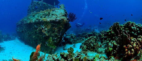 Wrecks vs Reefs