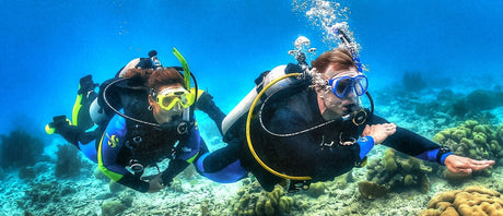 Are We There Yet? A Story of Navigation