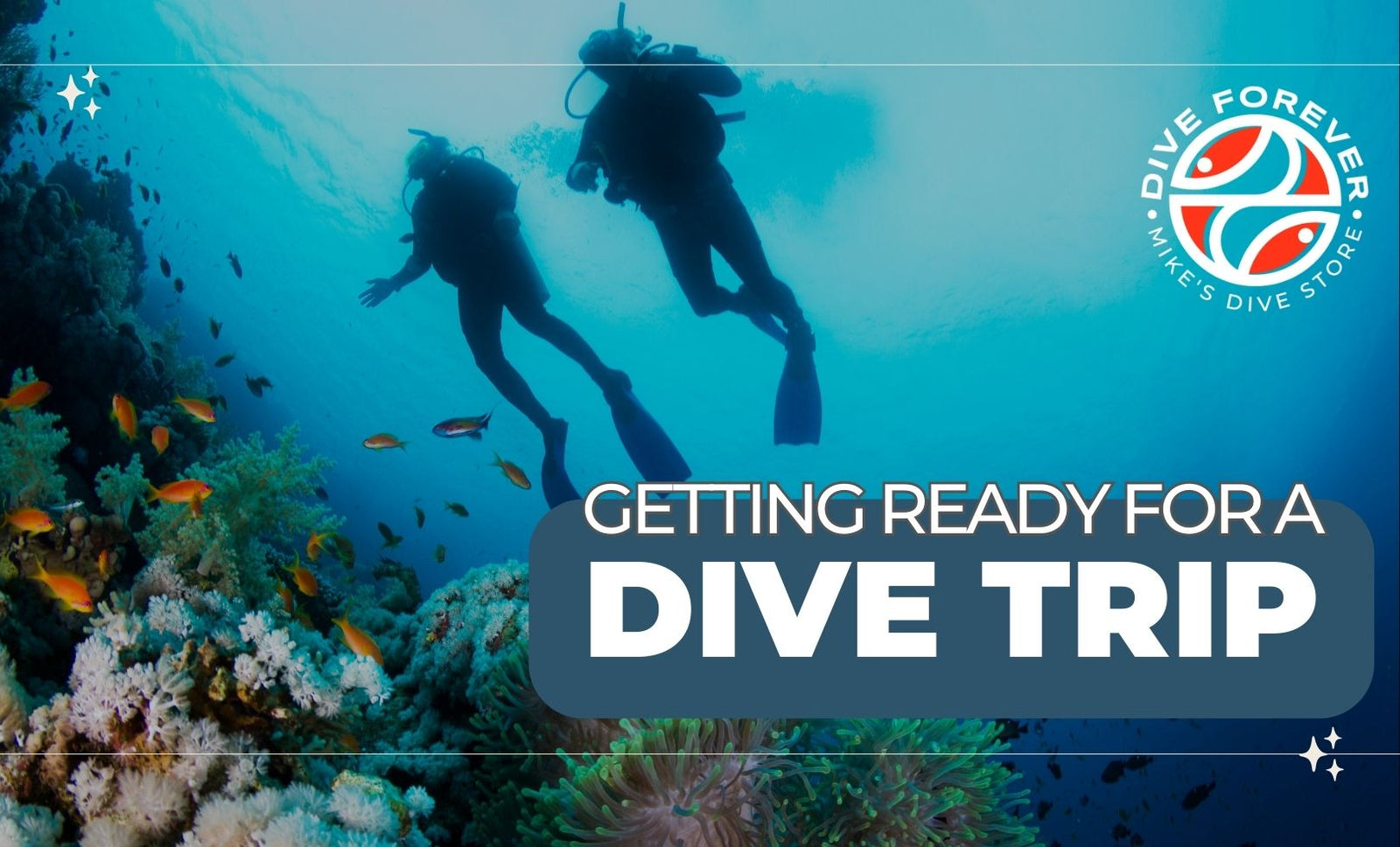 Getting Ready for a Dive Trip: The Complete Scuba Travel Preparation Guide