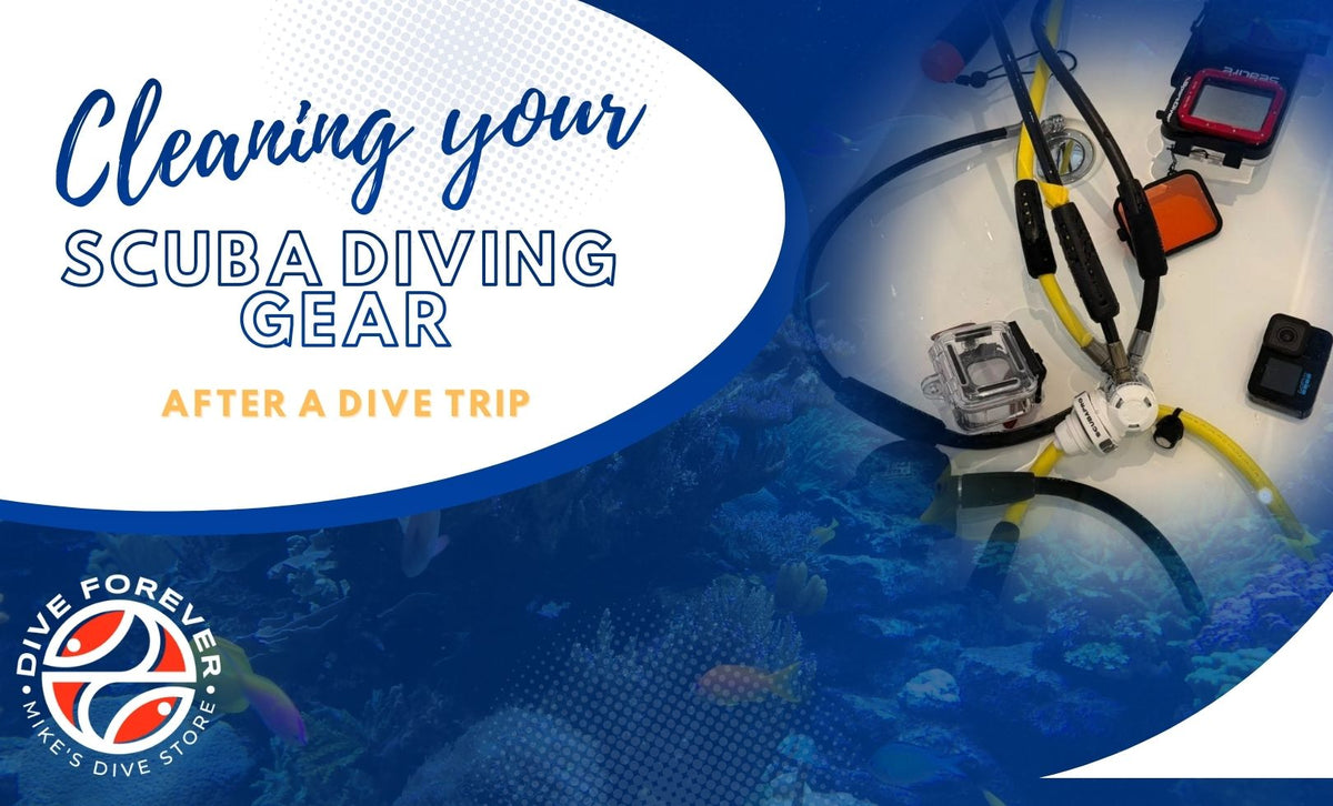 Cleaning Your Scuba Diving Gear After a Dive Trip – Mikes Dive Store