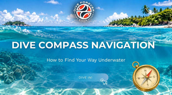 Dive Compass Navigation: How to Find Your Way Underwater