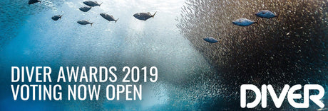 DIVER Awards 2019