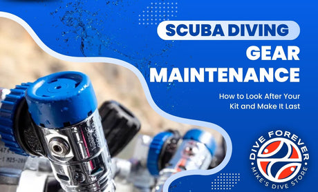 Scuba Diving Gear Maintenance: How to Look After Your Kit and Make It Last