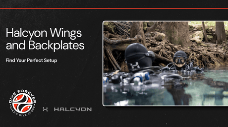 Halcyon Wings and Backplates