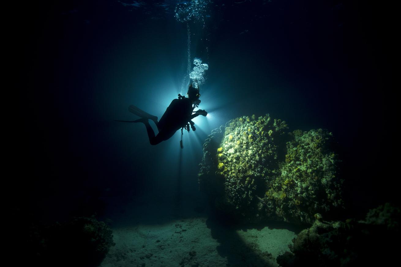 Why You Should Try Night Diving at Least Once