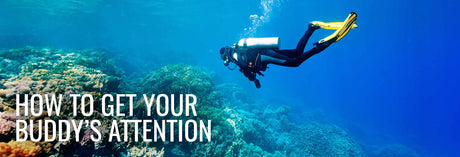 How To Get Your Buddy's Attention