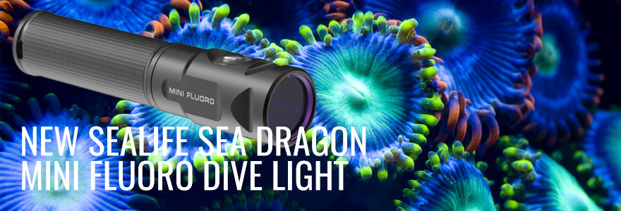 Sealife Handheld Sea Dragon Mini Fluoro Blue Light!