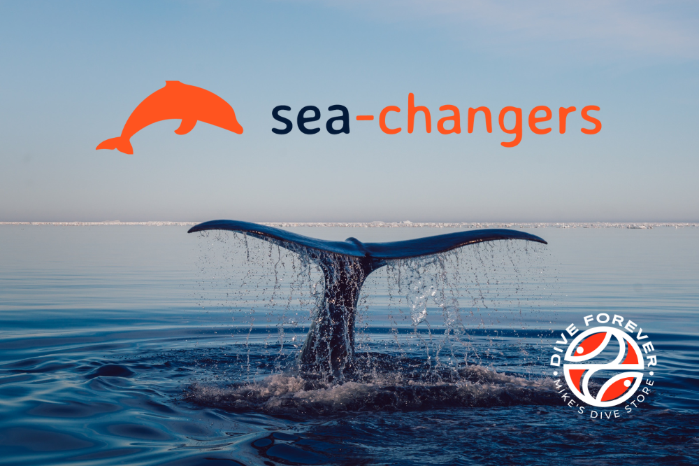 Ongoing support for amazing Sea-Changers