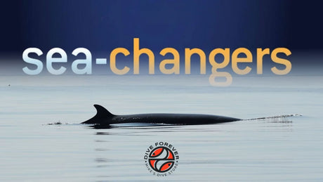 Sea changers and Mike's Dive Store