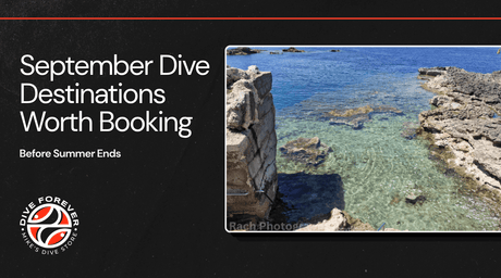 September Dive Destinations Worth Booking Before Summer Ends