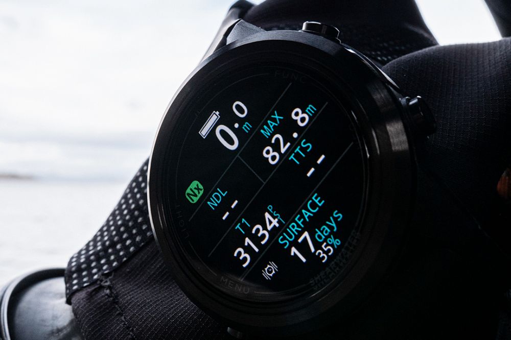 The New Shearwater Tern and Tern TX