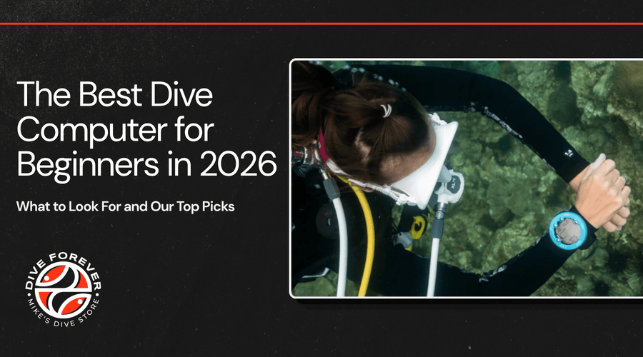 Dive Software Suunto Dive Computers EON Core Software Update 4.0 – Mikes Dive Store