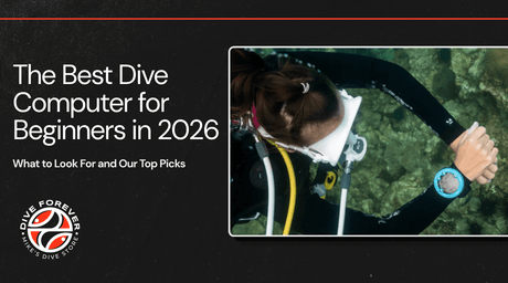The Best Dive Computer for Beginners in 2026: What to Look For and Our Top Picks