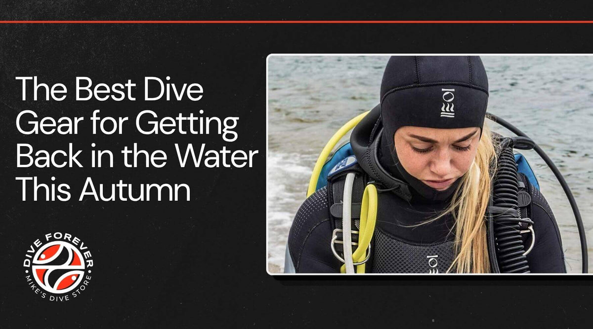 The Best Dive Gear for Getting Back in the Water This Autumn