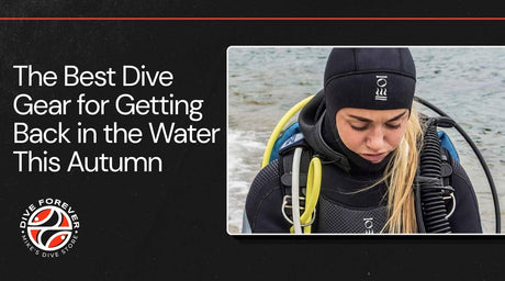 The Best Dive Gear for Getting Back in the Water This Autumn